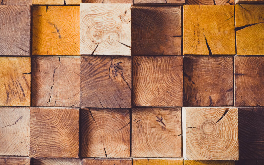 Le tipologie di legno migliori per una casa eco-friendly